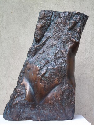 Torso,Bronze, 2013, 36x23x18cm